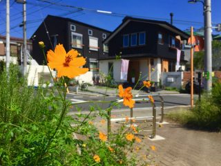 太陽熱　東京都西東京市