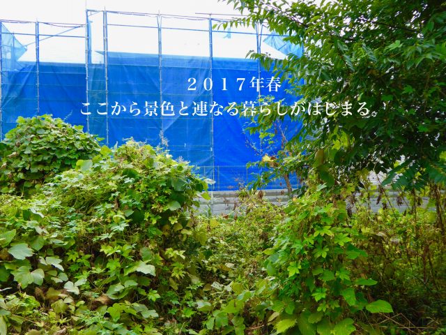 日野市　とおりみちの家　岡庭建設