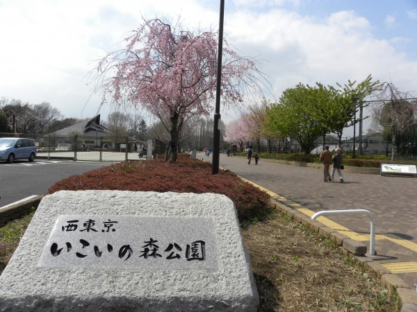 いこいの森